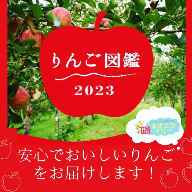\「ネオニコフリー」の安心安全なりんごお届けします！/

今年もりんごがおいしい時期がやっていました！
コープ自然派では長野の【あくと】さん、青森の【津軽産直フーズ】さんはじめ、こだわり農家さんからネオニコフリーで安心の産直リンゴをお届けしています。

りんごは果物の中でも農薬を多用する果物。
中でもネオニコチノイド系農薬は、安価で残効性に優れ、虫の神経系に作用して効果を発揮する農家さんにとっては夢のような農薬です。
しかしながら、ヒトと昆虫の神経伝達物質は同じでなので、ヒト特に小さな子どもには影響が懸念されています。

あくとの堀米さんは
「農薬を使うと虫も草も死ぬけど、微生物も土も死ぬ。だから使わない。見た目より安全を重視した自然に任せた栽培をしている」と話します。

農薬を使えば管理が楽で、見た目がきれいなりんごが作れますが、ネオニコフリーは次世代への責任と義務だと大地に足をつけて農業に向き合っておられます。

こだわりを持って作ってくださっている農家さんのりんごを選んで買い支えていきましょう！

りんごは収穫時期によって早生種、中生種、晩生種と分かれており、様々な種類を楽しむことができます。
今回は今が時期の中生種をご紹介！
食べ比べるとりんごそれぞれの味や食感の差がわかって楽しいですよ〜🍎🍎🍎

#ネオニコフリー　#産直　#国産　　#有機農業　#あくと　#津軽産直フーズ　#りんご　#アップルパイ　#リンゴジュース　#安心安全　#トキ　#紅玉　#シナノスイート　#レッドゴールド　#ジョナゴールド　#早生ふじ　#コープ自然派　#コープ自然派奈良 #訳ありりんご #ネオニコチノイド系農薬不使用