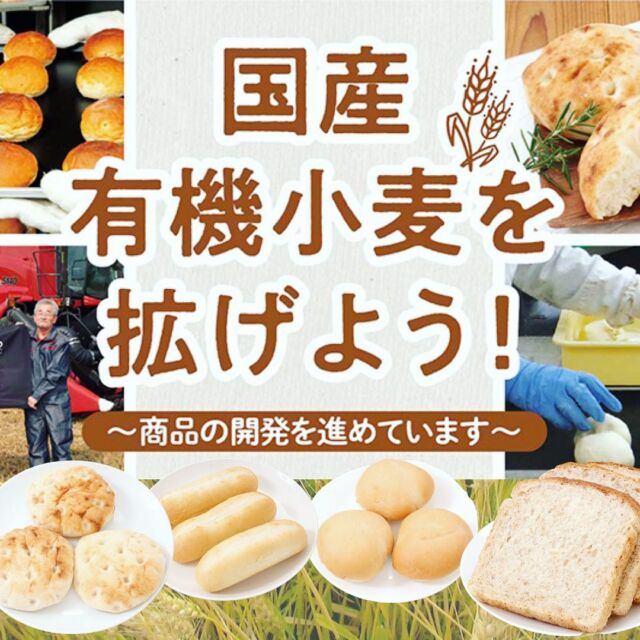 \国産有機小麦使用のパンを拡げよう！/
コープ自然派では国産小麦にこだわった商品の開発や導入を進めています。

日本の小麦の自給率は15%。ほとんどを輸入に頼っています。除草剤グリホサートの使用されていない国産小麦のパンは安心安全、しかもおいしい！

さらに、31号から２ヶ月間期間限定で５種類のパンが【国産有機小麦】に切り替わっています。試食してみると有機小麦は一口でわかりました。ぜひ食べ比べてみてください。

【自然派バーガーバンズ】は、お肉合うように少し甘めになっています。パンだけでももちろんおいしく、もちもちしてしっとりしたやわらかいです。超強力秋まき小麦品種「ゆめちから」（コープ自然派オリジナル小麦）を使用しています。
冷凍でお届けなので、1〜２時間自然解凍してから温めてお好きな具材を挟むのがお勧めです！

#コープ自然派　#生協購入品 #コープ購入品　#国産小麦 #国産有機小麦 #バンズ #バーガー #グリホサート #山食 #安心安全
