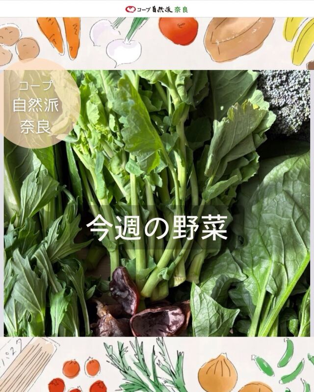 今週の自然派野菜セットの中身は

有機小松菜／有機水菜／無農薬ほうれん草
無農薬のらぼうな／無農薬アカゲキクラゲ
省農薬ブロッコリー

でした。

毎週月曜日にストーリー＆ハイライトに掲載しています。

やさいファンクラブのお野菜は
ほうれん草と長芋で486円でした。
価格はお野菜によって変動します。
（上限500円）
登録制です。
注文番号は「996990」

毎週何が届くか楽しみですね！

「家にも届いたよー！」や
「こんな料理に使ったよ♩」などなど
ぜひ教えてください🥦🍅

#野菜セット #奈良産野菜 #やさいファンクラブ #余剰野菜 #コープ自然派