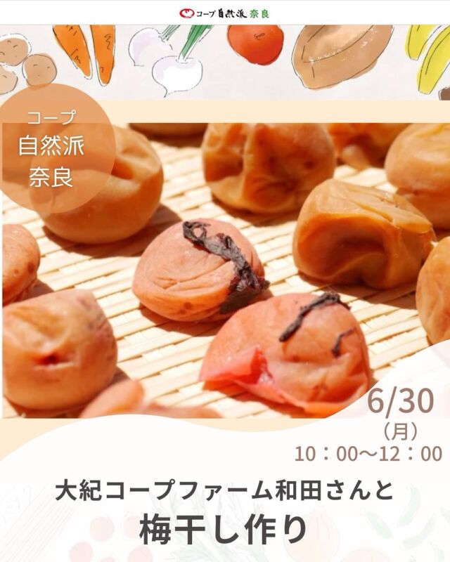 梅干し作り

今年も、奈良の生産者の大紀コープファームさんに梅干しの作り方を教えていただきます。

夏の熱中症対策やお弁当にも役立つ梅干し、実はとっても簡単です！大紀コープファームさんの美味しい梅を使った梅干しを一緒に作りませんか。
袋で漬ける方法を教えていただきます。お気に入りの容器で漬けたい場合は容器をご持参ください。

参加費は、青梅1ｋｇの梅干し作りセット（梅・塩・もみしそ・ジップ袋）込みになります。
※同伴のお子様はお1人につき保険代50円をいただきます。

■日 時：6月30日（月）10:00～12:00　　　
■会 場：コープ自然派奈良　2F活動室（磯城郡田原本町西竹田33-1）
■講 師：大紀コープファーム　　和田尚久さん
■参加費：（組合員）大人1500円　　子ども50円　
　　　　　（一般）大人1800円　　子ども50円　　※子ども＝中学生以下　　　　
■定員 ：15名　
■主催：理事会（利用拡大ボード）　
■イベントＩＤ ：16250180　
■託　児：なし。1才未満・子どもの同伴：可　　　
■持ち物：エプロン、三角巾、布巾、持って来られる方は大きめのザルとボウル、手拭き、筆記用具、容器で漬ける方は容器を持参ください。

　　
■申込〆切：6/20（金） ※応募者多数の場合抽選。〆切後、参加できない人にだけ連絡します。連絡がない場合は参加できます。

——————————————
　お問い合わせ・お申し込み
——————————————

＜24時間受付＞　mail : eventnara＠shizenha.co.jp

＜月～金8:30～20:00＞ フリーダイアル：0120-408-300
携帯電話（無料通話プランなし）0570-063-008
携帯電話（無料通話プランあり）・IPフォン 088-603-0080
　
▼お申込み時①～⑦をお伝えください。
①イベント名：初めての方でも大丈夫！大紀コープファームの和田さんと一緒に梅干し作り
②イベントID：16250180　　
③お名前（組合員名）
④組合員コード（組合員の方のみ）
⑤参加人数（同伴のこどもがいる場合は、人数と年齢）
⑥連絡先
⑦託児の有無と人数と年齢（託児のある場合）

＊＊＊＊＊＊

@coopshizenhanara では、季節の定番や最近話題のものまで様々なイベントを企画・開催しています。
コープ自然派組合員はもちろん、組合員以外の方もご参加いただけます。
その他のイベントはハイライト からご覧ください。
たくさんのご参加お待ちしております✨

#梅干し  #梅仕事 #大紀コープファーム  #コープ自然派奈良