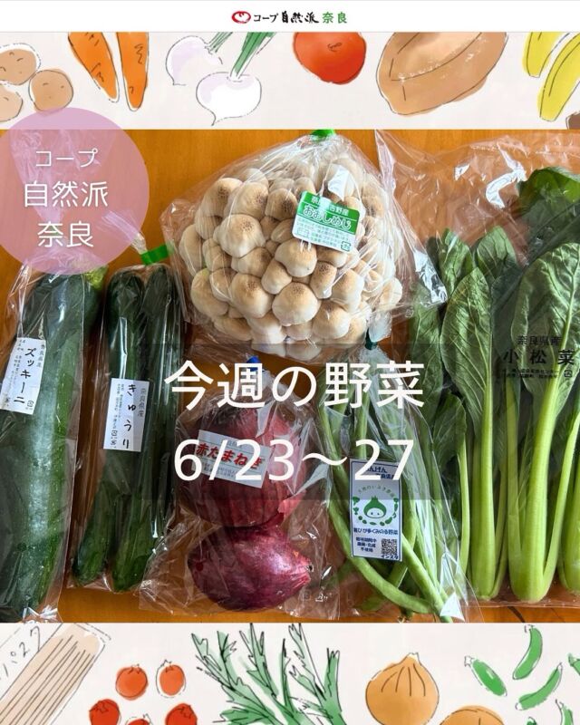 今週13号6/16〜20の奈良の自然派野菜セットの中身は

無農薬こまつな／省農薬きゅうり
無農薬赤玉ねぎ／無農薬インゲン
無農薬ズッキーニ／無農薬おおしめじ

ハイライトで過去の野菜セット紹介していますので
参考にしてくださいね。
次週14号の注文番号は「312」
1セット1,080円（税込）です。

（注文番号は週によって違うのでお間違えなく！）
自動注文登録しておくと、掲載ある週は自動で届きますよ♩
お休みも数量変更も簡単です。

今週届いたやさいファンクラブのお野菜は

沖縄県産かぼちゃ
500円（税込）

注文番号「996990」
価格変動あり（上限500円）の登録制です。

自然派の野菜セットもやさいファンクラブも
何が届くか毎週ワクワク、そしてとってもお得！

どんなお料理に使うか教えてください🧅🥒

#野菜セット #今週の野菜 #奈良県産野菜 #農民連  #コープ自然派奈良
