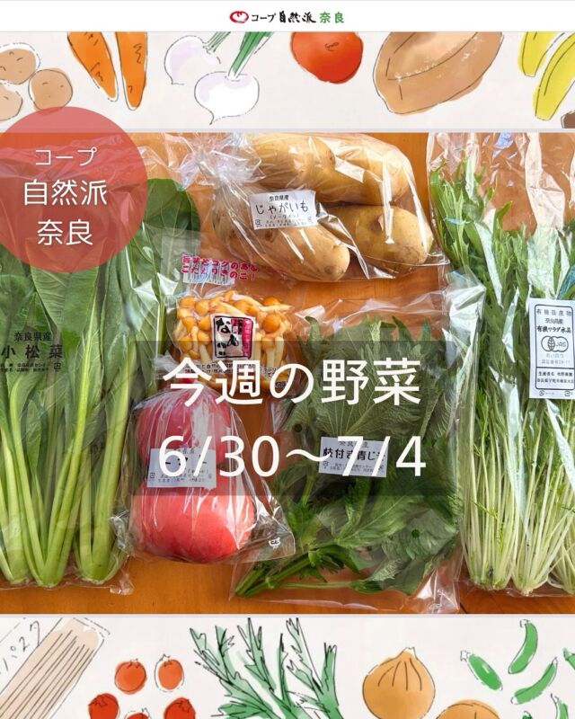 今週の自然派野菜セット

14号6/30〜7/4の奈良の野菜セットの中身は

無農薬こまつな／有機みずな
省農薬トマト／無農薬じゃがいも
無農薬枝付き大葉／無農薬生なめこ

ハイライトで過去の野菜セット紹介していますので
参考にしてくださいね。
次週15号の注文番号は「304」
1セット1,080円（税込）です。

（注文番号は週によって違うのでお間違えなく！）
自動注文登録しておくと、掲載ある週は自動で届きますよ♩
お休みも数量変更も簡単です。

今週届いたやさいファンクラブのお野菜は

沖縄県産かぼちゃ
500円（税込）

注文番号「996990」
価格変動あり（上限500円）の登録制です。

自然派の野菜セットもやさいファンクラブも
何が届くか毎週ワクワク、そしてとってもお得！
元気いっぱい夏野菜、どんなお料理に使いますか？🍅🥬

#野菜セット #今週の野菜 #奈良県産野菜 #農民連  #コープ自然派奈良
