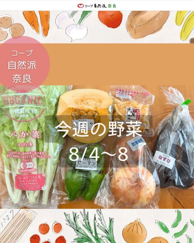 今週19号8/4〜8の奈良の自然派野菜セットの中身は

有機べかな/無農薬玉ねぎ
無農薬ピーマン/無農薬生なめこ
無農薬カットかぼちゃ/無農薬なす

ハイライトで過去の野菜セット紹介していますので
参考にしてくださいね。
次週20号の注文番号は「298」
1セット1,080円（税込）です。

（注文番号は週によって違うことがあります）
自動注文登録しておくと、掲載ある週は自動で届きますよ♩
お休みも数量変更も簡単です。

今週届いたやさいファンクラブのお野菜は

宮崎県産有機きゅうり
岡山県産有機じゃがいも
500円（税込）

注文番号「996990」
価格変動あり（上限500円）の登録制です。

自然派の野菜セットもやさいファンクラブも
何が届くか毎週ワクワク、そしてとってもお得！
元気いっぱい夏野菜、どんなお料理に使いますか？🫑🥔

#野菜セット #今週の野菜 #奈良県産野菜 #農民連  #コープ自然派奈良