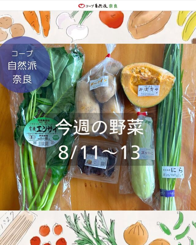 今週20号8/11〜13の奈良の自然派野菜セットの中身は
（14日（木）、15日（金）は夏季休業）

有機エンサイ/無農薬カットかぼちゃ
無農薬ズッキーニ/無農薬メークイン
無農薬アラゲキクラゲ/無農薬ニラ

ハイライトで過去の野菜セット紹介していますので
参考にしてくださいね。
次週21号の注文番号は「286」
1セット1,080円（税込）です。

（注文番号は週によって違うことがあります）
自動注文登録しておくと、掲載ある週は自動で届きますよ♩
お休みも数量変更も簡単です。

今週届いたやさいファンクラブのお野菜は

北海道産有機ブロッコリー
386円（税込）

注文番号「996990」
価格変動あり（上限500円）の登録制です。

自然派の野菜セットもやさいファンクラブも
何が届くか毎週ワクワク、そしてとってもお得！
元気いっぱい夏野菜、どんなお料理に使いますか？🫑🥔

#野菜セット #今週の野菜 #奈良県産野菜 #農民連  #コープ自然派奈良