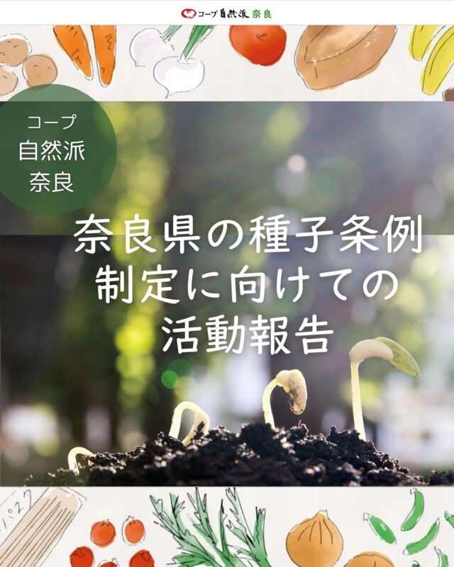 奈良県の種子条例制定に向けての活動報告

ー奈良県主要農作物種子生産実施要綱・要領が策定されました

2018年の種子法廃止を受け、多くの都道府県では、主要農作物（米、麦、大豆など）の種子の安定供給が引き続き行えるよう、種子条例を制定する動きが起こりました。

これをきっかけに「奈良県にも種子条例を」との思いで、コープ自然派奈良では他団体などと共同で、条例の制定を求める署名の提出を行いました。しかし県は、「2020年に施行した『奈良県豊かな食と農の振興に関する条例』の基本計画の中に明示してあるので、新たに条例を設ける必要はない」という見解を示してきました。

この条例と基本計画についての学習会の際、県の担当課の方から、「奈良県の主要農作物の種子については、これまで通りの供給が行えるよう、県と米麦改良協会が覚書を交わしているので大丈夫です」という回答をもらいましたが、覚書では今後の安定供給が担保されないのでは、という不安も感じました。

その後、県知事が交代したタイミングで、種子条例の必要性について改めて、議員の皆さんにも周知と理解を得られるよう、県議や市議を交えた学習会や懇談を重ねてきました。

そしてようやく昨年度、これまで覚書だったものを「奈良県主要農作物種子生産実施要綱・要領」の形にあらため、2025年3月24日に制定、施行される運びとなりました。

要綱の第１条には、「…主要農作物の優良な品種の決定及び種子の安定的な生産・供給体制の整備その他の措置を行う…」の文言が書かれており、これまでよりも大きく前進した印象です。また、要領において、県の奨励品種の改廃を検討する審査会の構成員には、「その他」の項目が設けられ、ここには私たち消費者や生産者が入れる可能性があるそうです。

要綱・要領策定に携わった県の食農部の方からは、「今回要綱を策定したことで、種子を今後も継続して守っていく意識が高まりました」というお話がありました。

また、先日（6月）の県議会では、遺伝子操作された、重イオンビーム育種米の開発や導入について、県議から知事への質問があがりましたが、「重イオンビームを利用して作出された米の品種につきましては、現在県において奨励品種として導入する予定はございません。」という回答がありました。

要綱・要領が策定されたことは大きな一歩です。これで良しとせず、今後も私たちの主食であるお米や小麦の安定的な生産や、農家の自家採種の権利が守られるよう、より充実した内容の種子条例の制定に向けて、活動を継続していきたいと思います。

#主要農作物安定生産 #自家採取 #種子条例制定 #奈良県食農部 #コープ自然派奈良