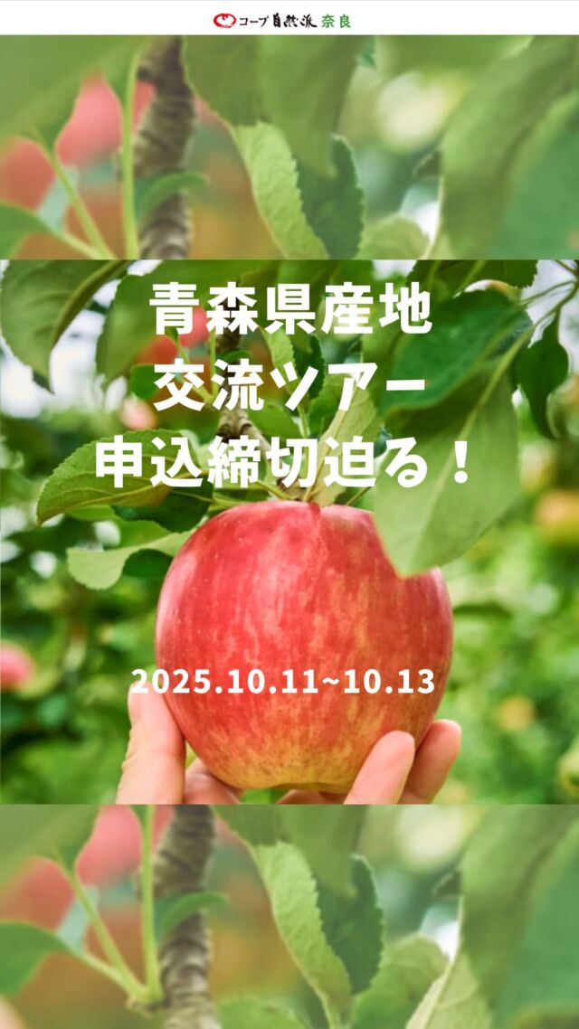 申込締切迫る！！

青森県産地交流ツアー🍎
ネオニコフリーのりんご狩り
＆有機米稲刈りを体験する青森2泊3日✈️

締切　9月12日（金）

下記メールまたはFAXでお申し込みください。
✉️ osaka-yoyaku@hei.hankyu.co.jp
FAX 06-4795-5726
株式会社阪急交通社　フロント営業課　大阪係

#ネオニコフリー #りんご狩り #産地交流ツアー #コープ自然派奈良