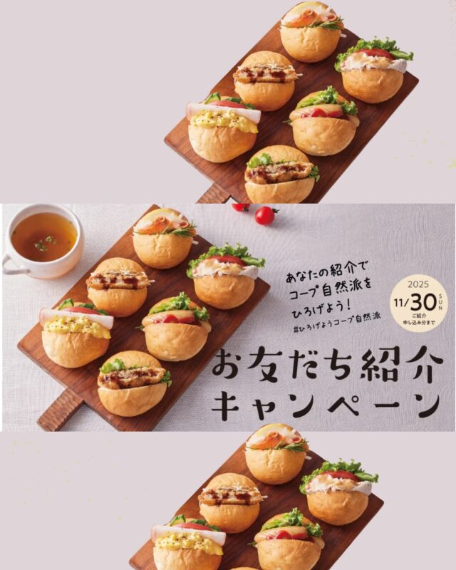 あなたの紹介でコープ自然派をひろげよう！

ただいま秋のお友だち紹介キャンペーン実施中です。
みなさんの紹介でコープ自然派（生協）は成り立っています。

お友だちをご紹介いただくと、
あなたとお友だち両方に「自然派テーブルロール2個組」＆10フレンドプレゼント！！

フレンドは、カタログ「フレンドブック」に掲載の多数の商品と交換できます。

ぜひこの機会に
#ひろげようコープ自然派　！！

#お友だちキャンペーン  #コープ自然派奈良