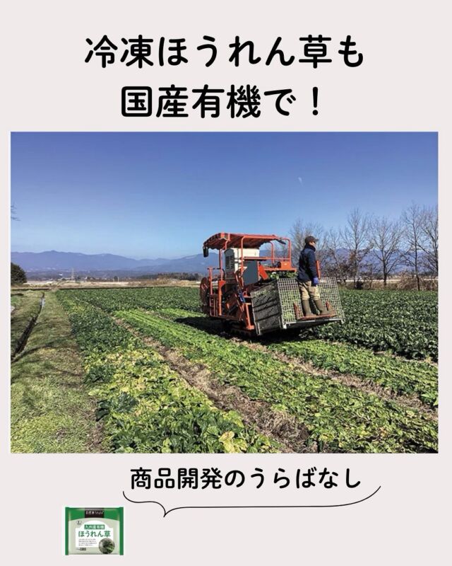 冷凍ほうれん草も国産有機で！

「自然派Style九州産有機ほうれん草（冷凍）」

装い新たに「自然派Style」としてリニューアルしました。
日本有機加工食品コンソーシアムの原料を使用し、
「有機ひろげるプロジェクトマーク」のついた安心の品質です。

#有機ひろげるプロジェクト #日本有機加工食品コンソーシアム #自然派Style #コープ自然派奈良