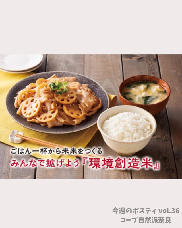 環境創造米を選ぼう！拡げよう！

農業人口が年々減っていることや
農業従事者の高齢化が進んでいることはご存じですか。

コープ自然派は、
環境に配慮した農業へ切り替え、
収益性を高めようと頑張る農家や
新規就農者を応援してきました。

ごはんでも、お米の加工品でも
環境創造米を選んで
コープ自然派の産直米を生産する農家を支えましょう！

#環境創造米 #ごはんを食べよう #産直米 #コープ自然派奈良