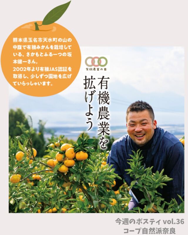 有機農業を拡げよう‼︎

12月8日はなんの日？

「有機農業の日」🍅🥕なんです。

コープ自然派は商品の取扱を通して、
有機農業を営む生産者と
子どもたちの食育をつなぎます。

＊毎年人気の自然派おせちも
クリスマスケーキも今週36号まで！
お忘れなく😊

#有機農業 #有機農業の日 #学校給食をオーガニックに #コープ自然派奈良