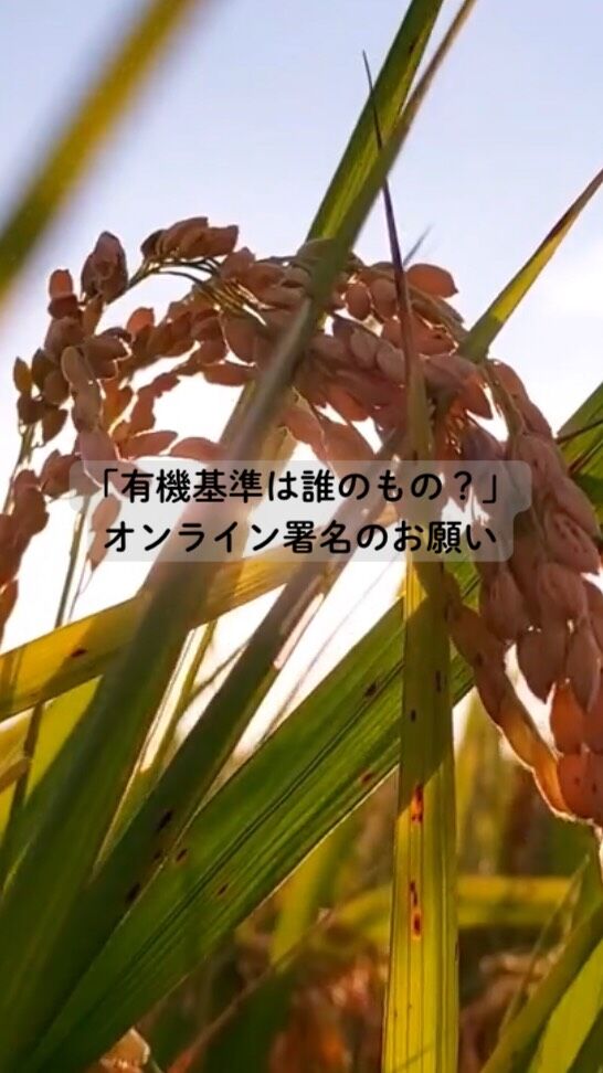 オンライン署名のお願い
有機基準は誰のもの？

有機JASは、有機の原則に沿って有機生産・加工等における要件を定めたもので、それを守って作られた有機食品を、安心して売り買いできるようにするためのものです。当然、消費者や生産者が納得するものである必要があります。有機JAS認証を取るか取らないかにかかわらず、それは安心できる食品の基準として食全体に影響があるものです。

　もし、有機食品というから買ったのに、それが重イオンビームによって遺伝子改変されていたら、消費者は納得できるでしょうか？　また生産者は納得いくでしょうか？　でも、農林水産省は独自の判断でそれでも問題ないとする姿勢を示しています。

　消費者や生産者の納得のいく、有機の原則に基づいた基準にしなければ、日本の有機食品は信頼を失なってしまいます。そこで、みなさんの声を農水省に送り、信頼できる有機基準に変えていきましょう。

署名の提出先：農林水産省
呼びかけ団体：OKシードプロジェクト

#有機基準 #あきたこまちR  #重イオンビーム #コープ自然派奈良