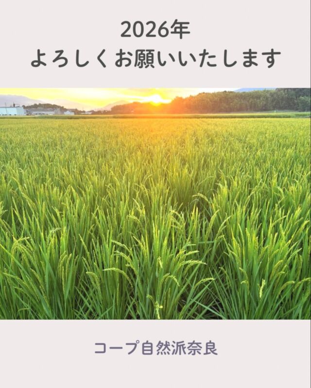 2026年新年のご挨拶
 
あけましておめでとうございます。
今年もみなさまにとってしあわせな年となりますよう、心からお祈りいたします。

わたしたちの主食、お米が危機に瀕しています。2024年夏頃から発生した「令和の米騒動」は、前年の記録的な猛暑による収穫量の減少や、コロナ禍緩和による外国人観光客増加によるインバウンド需要が直接の原因といわれています。しかしより深刻なのは、これまで長年に渡ってお米の価格が低迷し、担い手が減少・高齢化してきた構造的な問題です。昨年3月には農家たちが「令和の百姓一揆」を決行し、全国14都道府県でトラクターデモなどが行われ、歴史的な米価高騰の裏で、生産現場が疲弊している危機感が訴えられました。

また、秋田県では昨年から、県が供給する「あきたこまち」の種もみがすべて重イオンビーム育種米「あきたこまちR」に切り替えられました。 「あきたこまちR」は、重イオンビーム放射線を照射して遺伝子操作をした「コシヒカリ環1号」と従来の「あきたこまち」を掛け合わせたカドミウム低吸収米です。重イオンビーム育種米の安全性がまだ確認されていない状況での全面切り替えは、時期尚早と言わざるをえません。重イオンビーム育種の表示がされず、「あきたこまち」として売られてしまうことも問題です。

雑誌『新百姓』第2号に、農業をしていた祖父母の人生を「カネにならない人生」ではなく、「美味い米、温かい繋がり、美しい景観を生み出しつづけた素晴らしい人生」だったと肯定したい、という文章がありました。このように農家や農業を肯定できる社会であるためには、わたしたちが再生産できる価格で買い支えることが不可欠です。生産者と消費者という立場をこえて、ともに食・農・環境を守る仲間として力を合わせていきましょう。本年もどうぞよろしくお願い申し上げます。

生活協同組合コープ自然派奈良
　　理事長　上市佳織