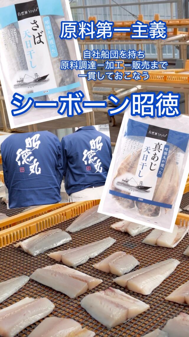 原料第一主義！シーボーン昭徳

九州で水揚げされた真あじ、さばの天日干し🐟✨

#シーボーン昭徳 #昭徳丸 #自然派Style # 干物工場　#コープ自然派奈良